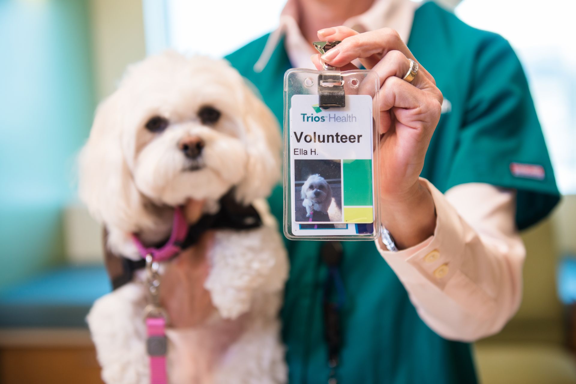 Pet Therapy