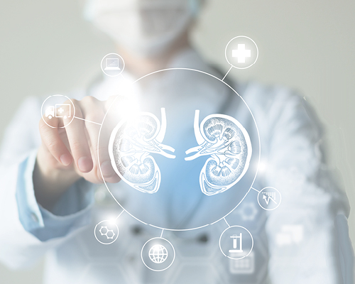 Nephrology Nephrology